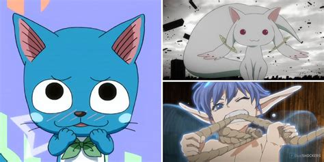 The 10 Anime with Familiars Or Summons You Have .